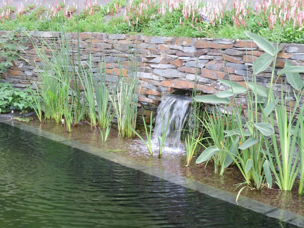 Conception et réalisation de bassin d’ornement ou de baignade, de — free download