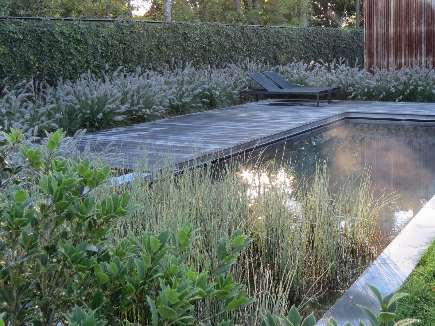 Automne sur la piscine biologique