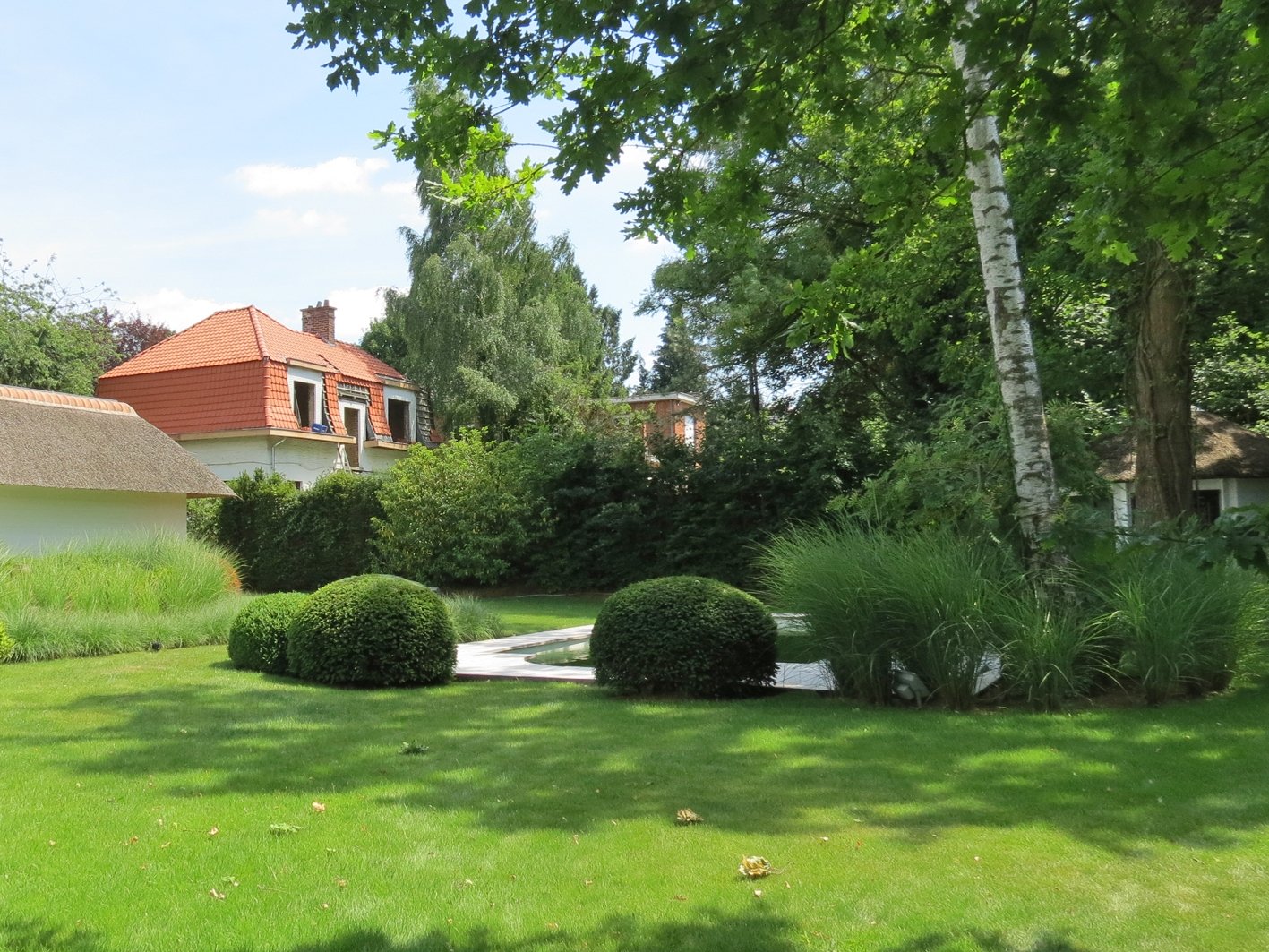Buxus, Taxus et Graminées