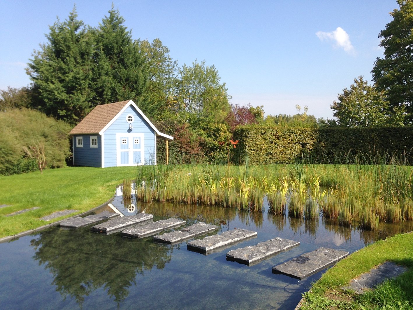 Lagunage d’étang