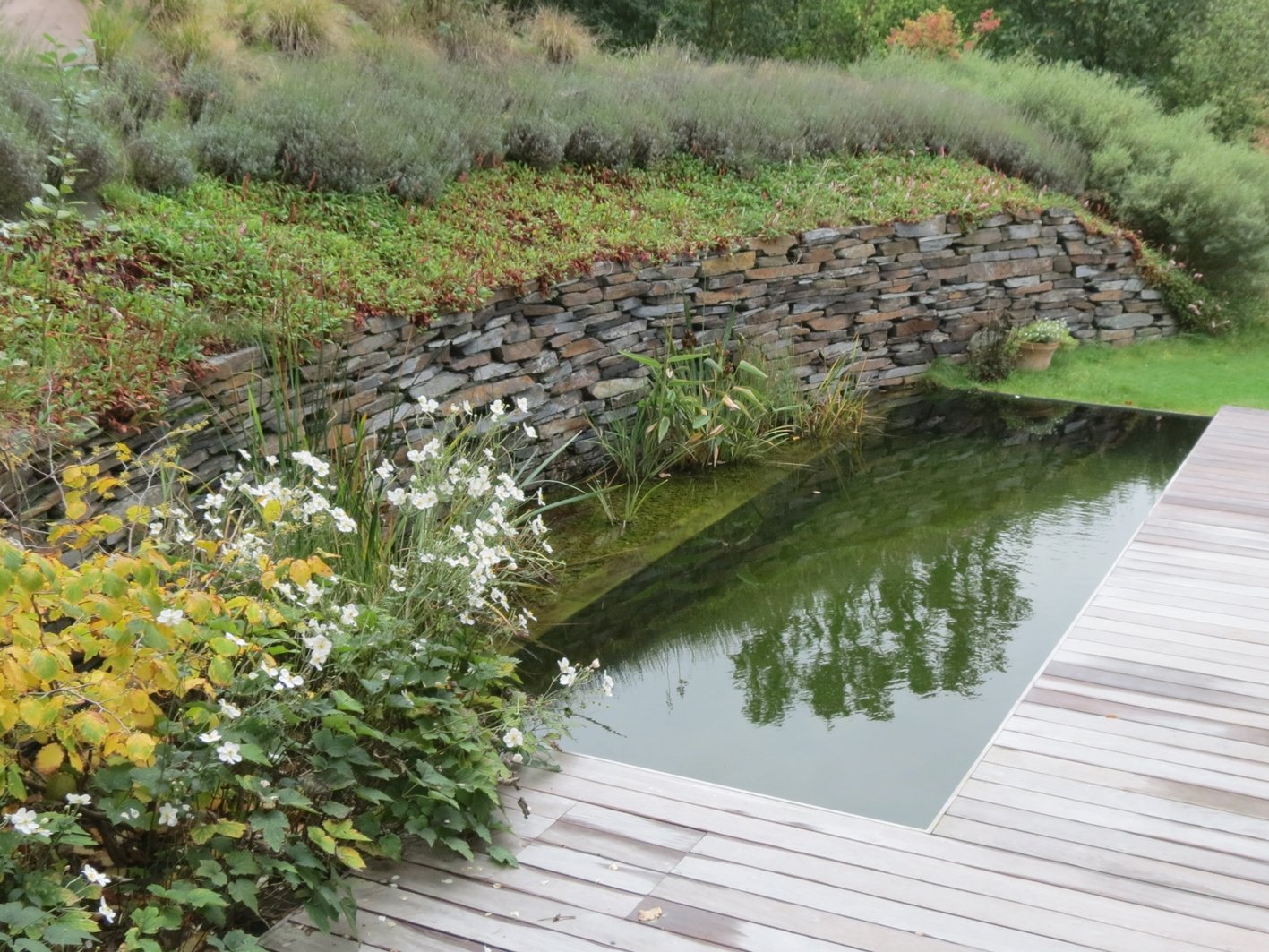 Piscine biologique à Biez