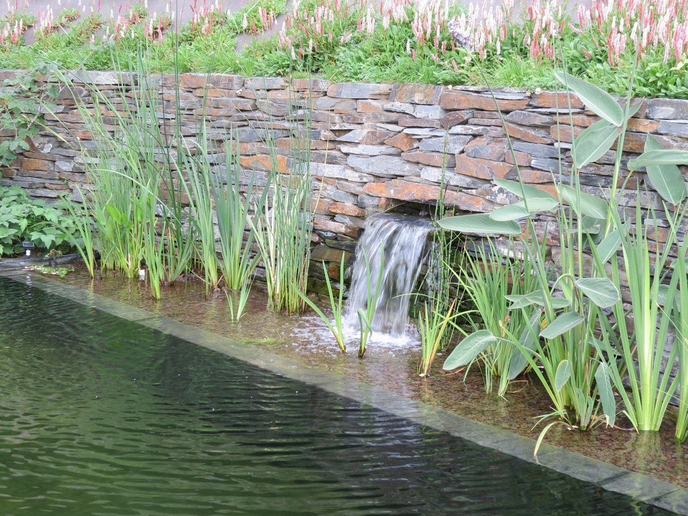 Piscine biologique à Biez
