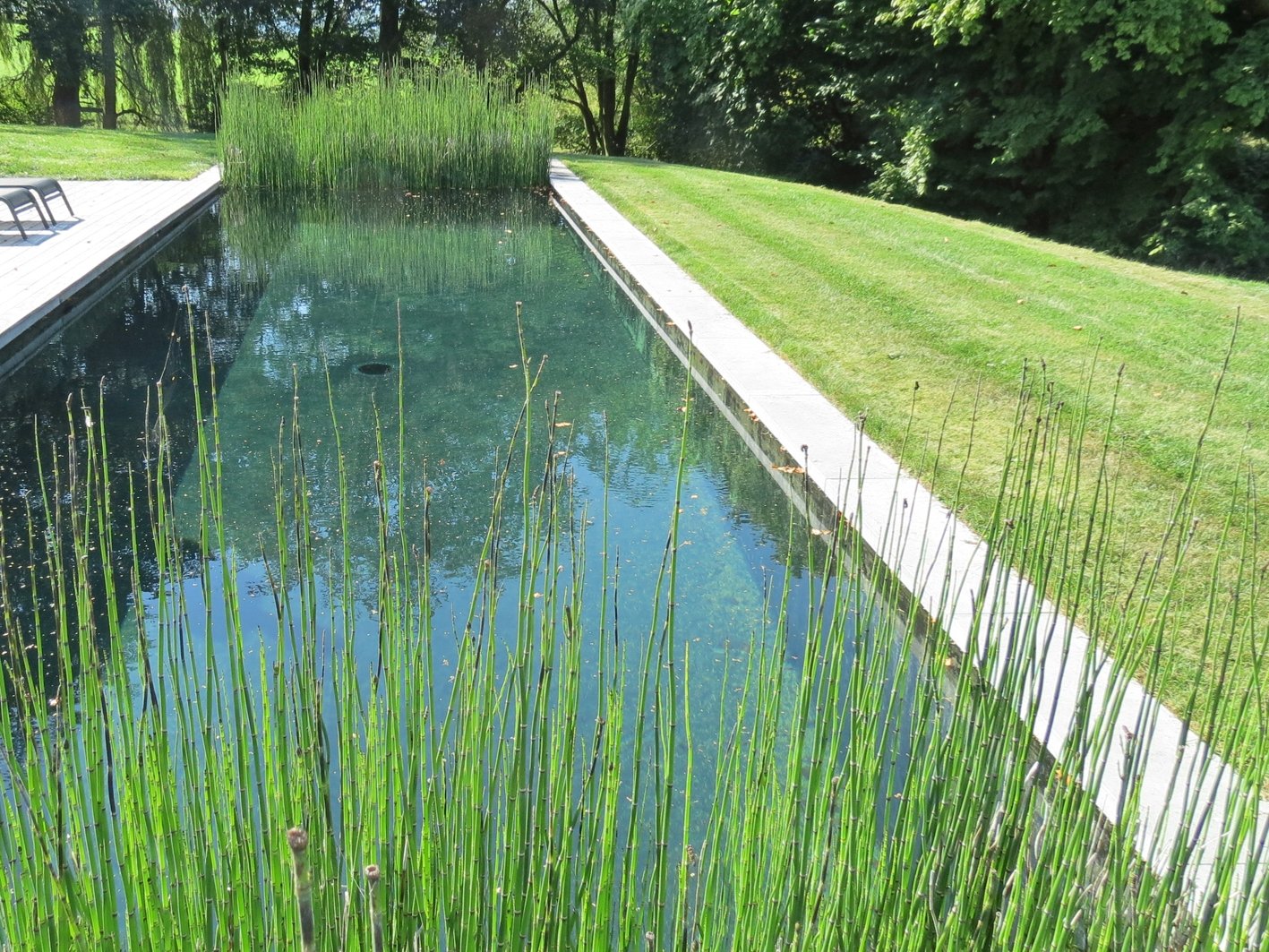 Piscine biologique à Ittre