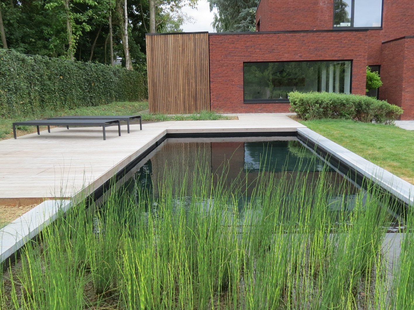 Piscine biologique à Rhode St Genèse