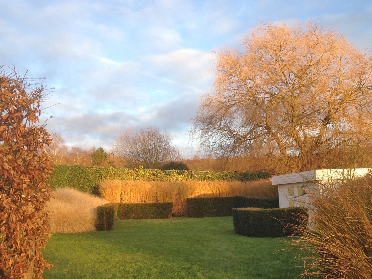 Structure du jardin hivernal